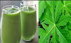 পেঁপের পুষ্টিগুণ মেয়েদের জন্য অনেক বেশি দরকারি। 